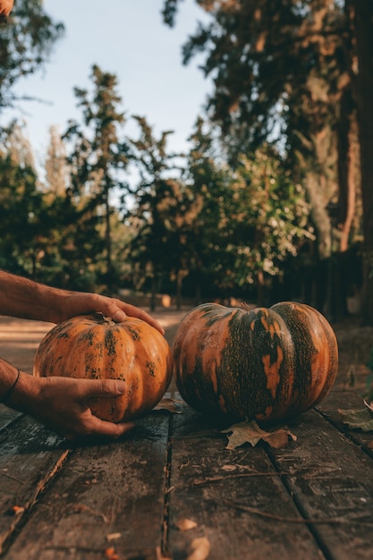 Un primer plano vertical de manos agarrando una calabaza de una mesa en el bosque