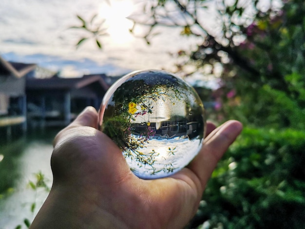 Primer plano de vidrio en mano con el reflejo de los árboles