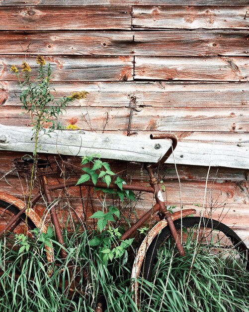 Foto primer plano de una vieja bicicleta junto a una pared de madera