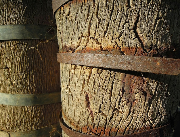 Foto primer plano de una vieja pared de madera