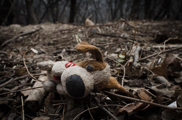 Primer plano de un viejo juguete de perro sucio descuidado en el suelo en el bosque - concepto de niño desaparecido