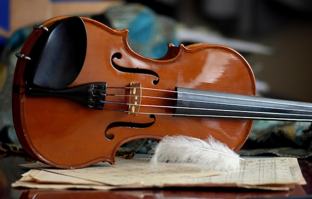 Foto primer plano de un violín y una pluma en la mesa