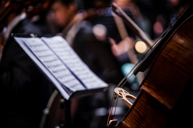 Foto primer plano del violonchelo