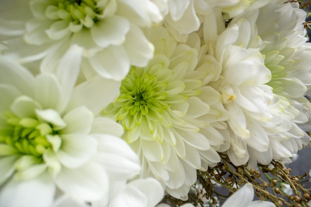 primer plano, vista inferior, boda, flores