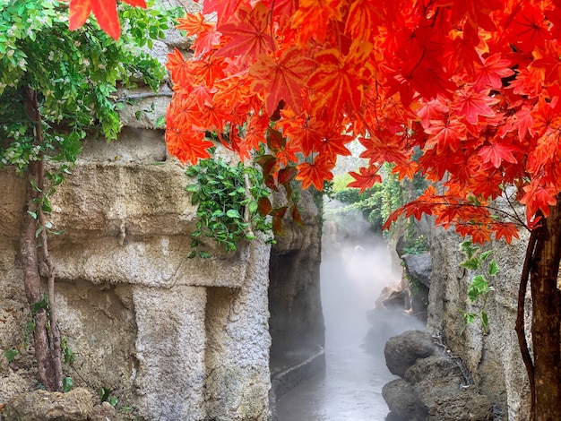 Primer plano y vista del paisaje de cultivo de la cueva con hoja de arce roja