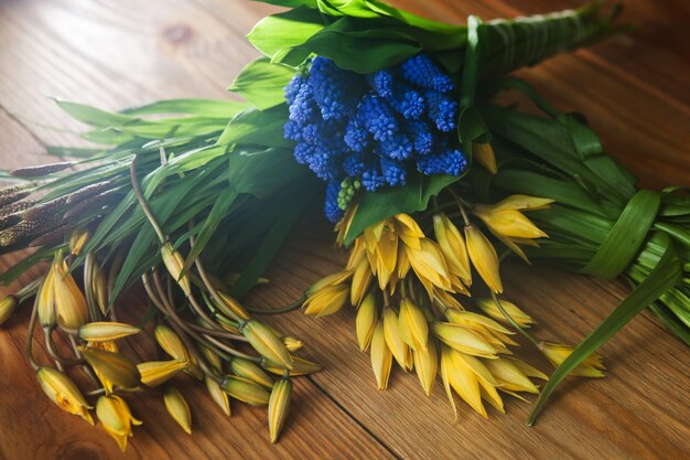 Primer plano de la vista superior de coloridas flores de primavera. Tulipanes amarillos, muscari azul, hermoso fondo, buen regalo, buenos días, concepto de naturaleza