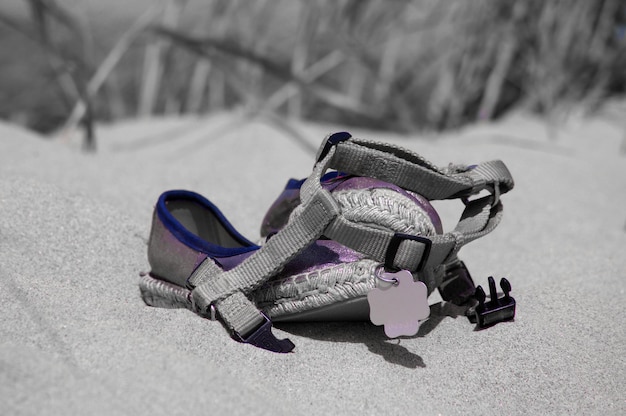 Foto primer plano de zapatos en una playa de arena durante un día soleado