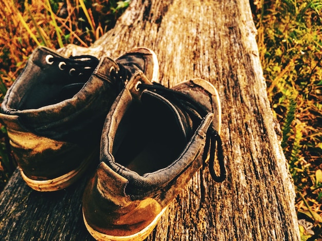 Primer plano de zapatos en el tronco de un árbol en el bosque