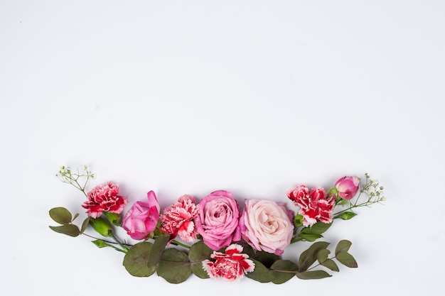 El primer de rosas rosadas y del clavel rojo florece contra el fondo blanco