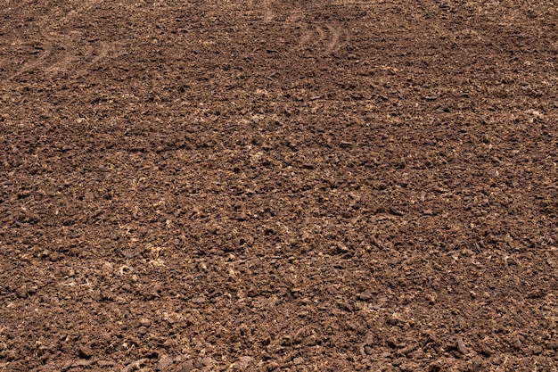 Foto primer suelo fértil en granja agrícola orgánica.