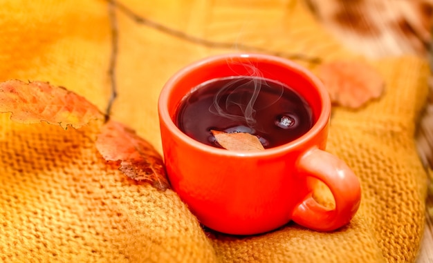 Foto primer taza de bebida caliente. concepto de otoño. bebidas calientes.