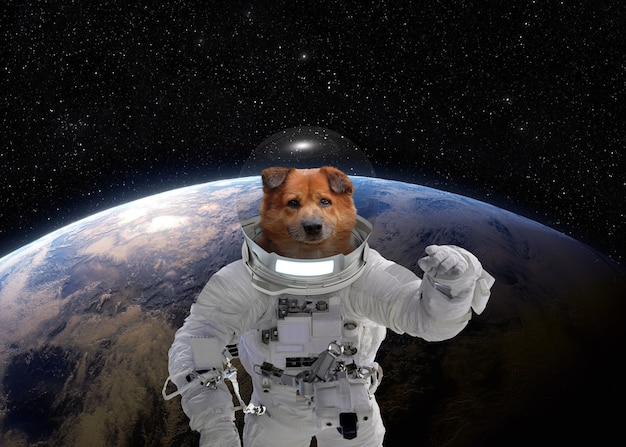 Primer viaje al espacio Perro astronauta con traje espacial Retrato de un perro astronauta en el espacio