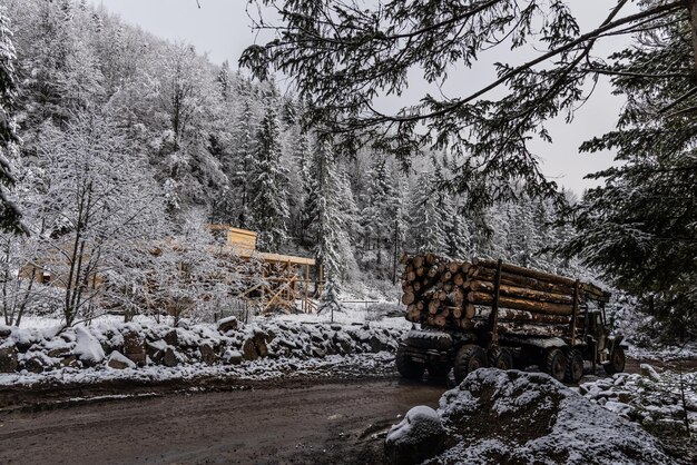 Primera nevada en las montañas