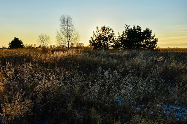 Primera nieve en el campo al atardecer