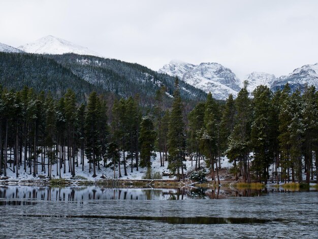 Primera nieve en Sprague Lake en el Parque Nacional Rocky Mountain, Colorado.