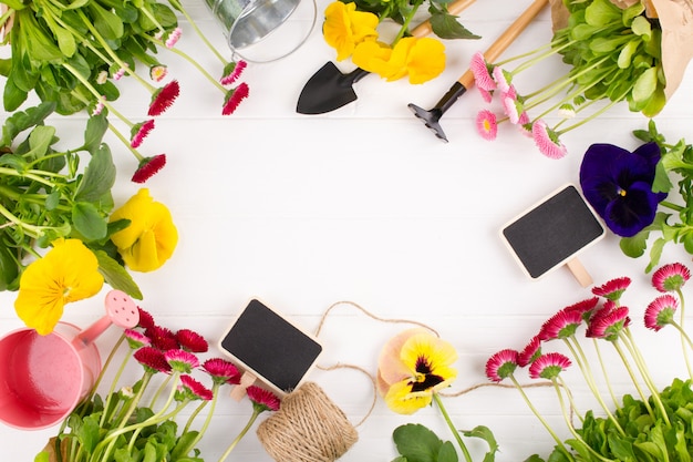 La primera primavera coloridas flores listas para plantar. marco de jardinería., vista superior