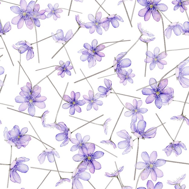 Las primeras flores de primavera Scilla Coppice hepatica Ilustración de delicadas flores de lila Primrose las anémonas flores del bosque liverwort