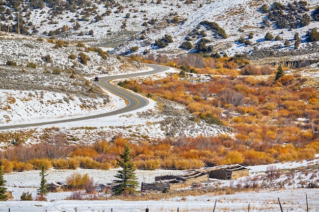 Primeros árboles de nieve y otoño a lo largo de la carretera mojada