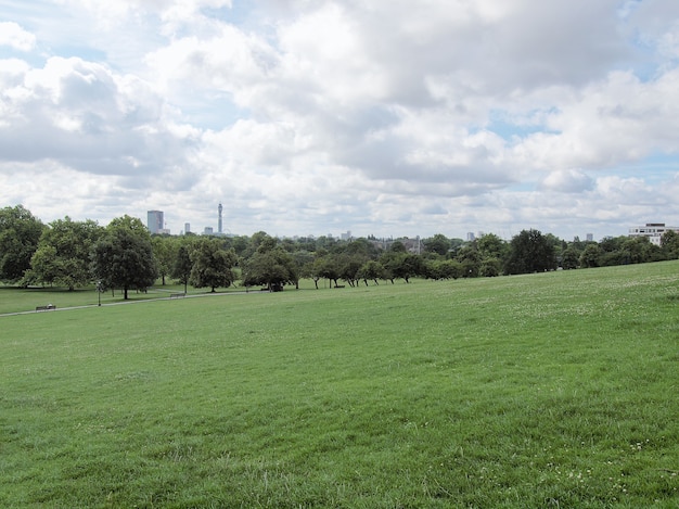 Primrose Hill London