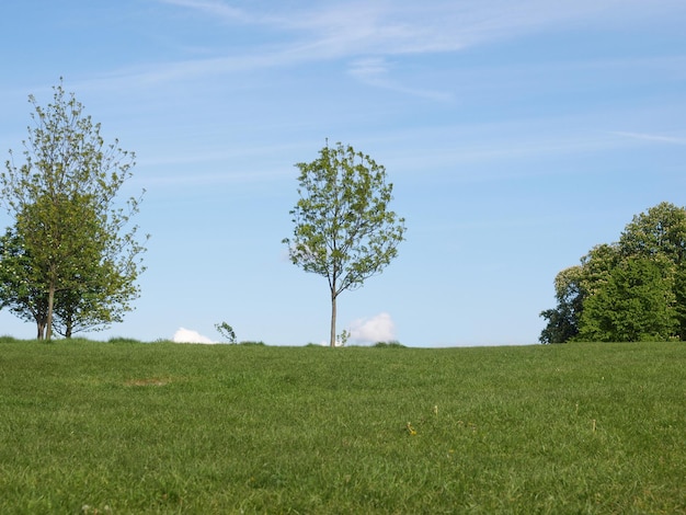 Primrose Hill Londres