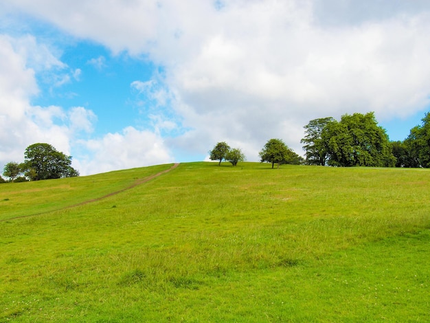 Primrose Hill Londres