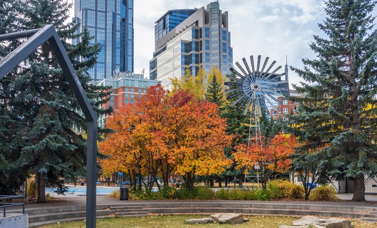 Prince's Island Park paisaje de follaje otoñal en el centro de Calgary, Alberta, Canadá.