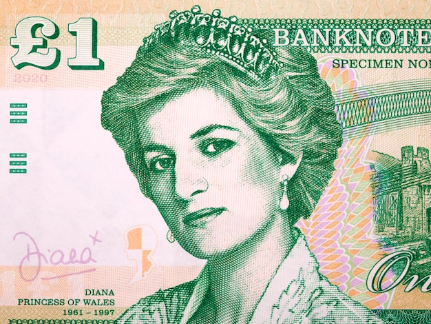 Princesa Diana un retrato de dinero