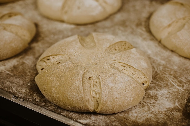 Privatbäckerei Brotbackofen Brotbacken Brotbacken im Ofen Brotbackwerkstatt