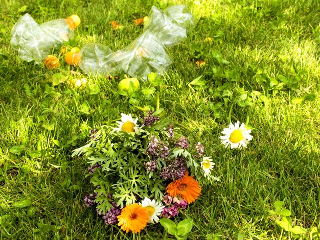 El problema de la contaminación Hermoso ramo de flores silvestres sobre un fondo de basura Basura en el césped