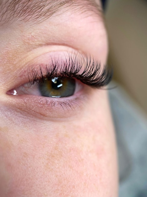 El procedimiento de extensión de pestañas clásica. Primer plano de hermosos ojos femeninos con pestañas largas