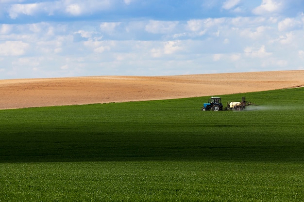 Procesamiento de cereal - tractor, fotografiado en el campo agrícola durante el manejo de plaguicidas. cielo con nubes