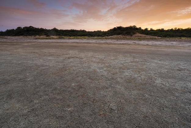 Proceso de desertificación de la tierra agrietada Provincia de La Pampa Patagonia Argentina