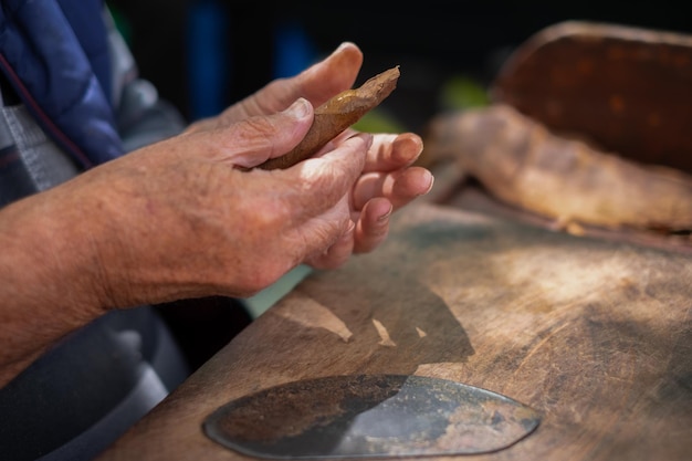 Proceso de elaboración de cigarros tradicionales a partir de hojas de tabaco con las manos utilizando un dispositivo manual