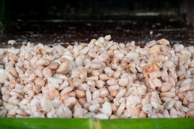 Proceso de fermentación de granos de cacao frescos en un recipiente de madera