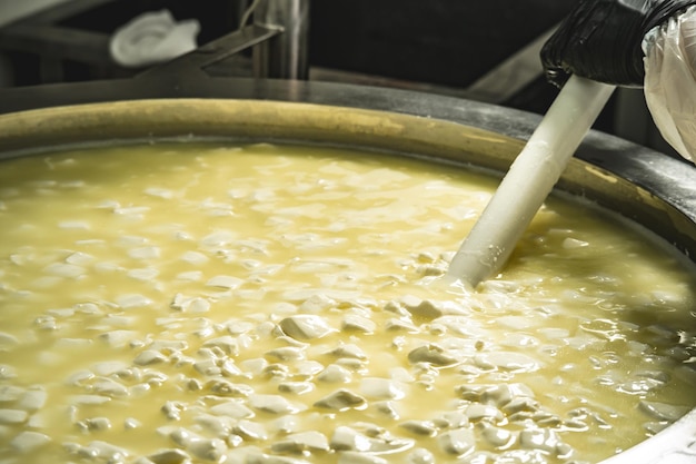 Proceso de producción de diferentes variedades de queso en la industria Elaboración de queso a partir de leche natural