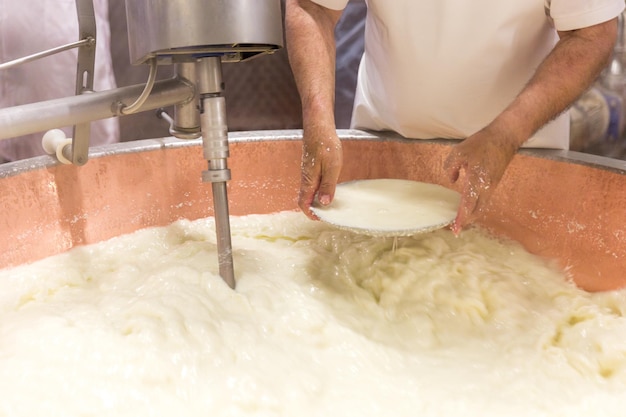 Foto proceso de producción de queso parmesano en bolonia italia