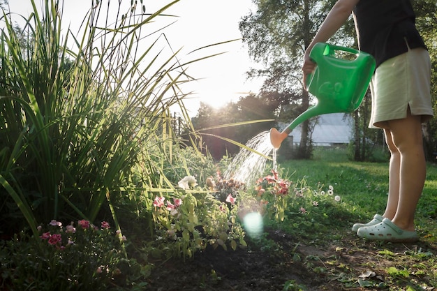 El proceso de regar las plantas desde una regadera cuidando las plantas