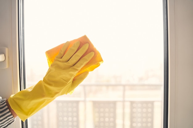 Proceso de trabajo. Ama de casa consciente con guantes de goma mientras lava ventanas en la cocina