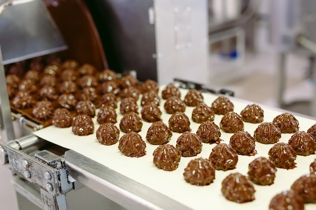 Processamento de bombons de chocolate na esteira