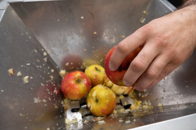 Processamento de maçãs para produção de suco e sidr.