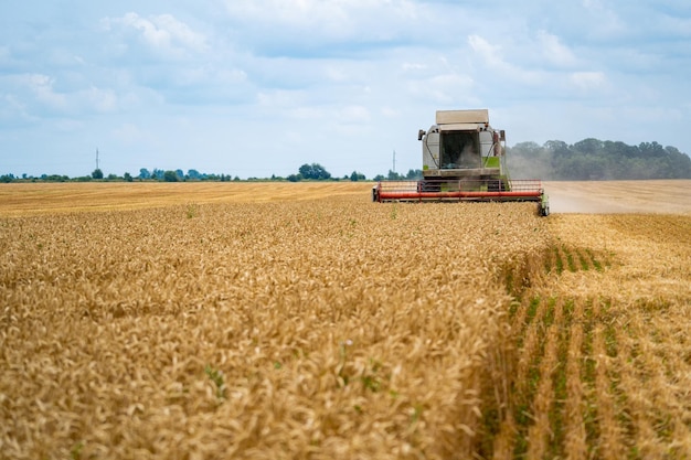 Foto processo de agricultura no campo de trigo técnicas pesadas paisagem rural tempo de colheita