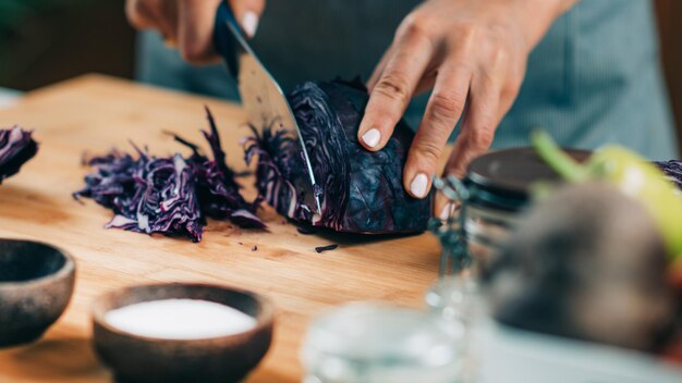 Processo de Fermentação Vegetal