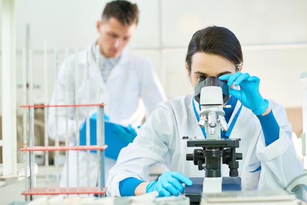 Processo de trabalho em laboratório moderno