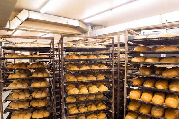produção de fábrica de alimentos de padaria de pão com produtos frescos prepare-se para seguir em frente na prateleira