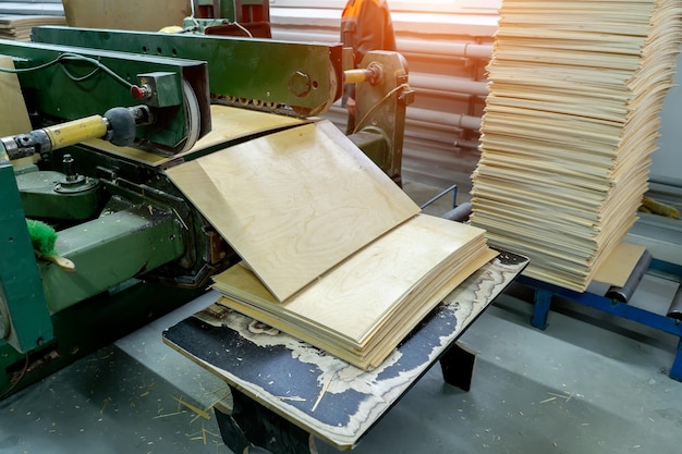 Produção de lascas de madeira na fábrica