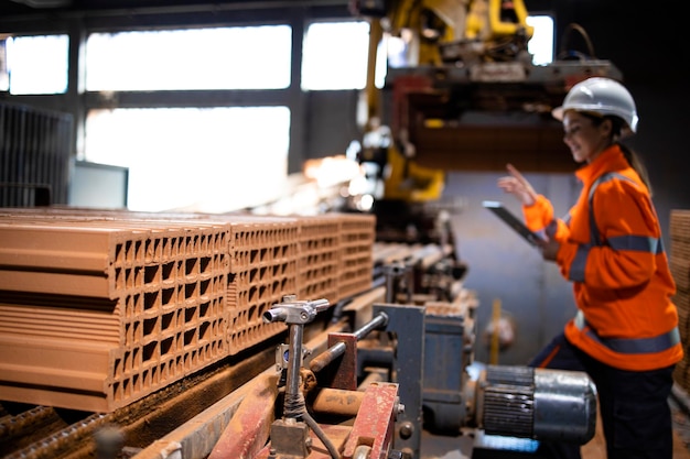 Produção industrial de tijolos de barro usados para a indústria da construção