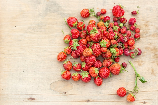 Producción natural de alimentos orgánicos. Fresas jugosas recién escogidas en fondo de madera. Montón de bayas rojas de verano.
