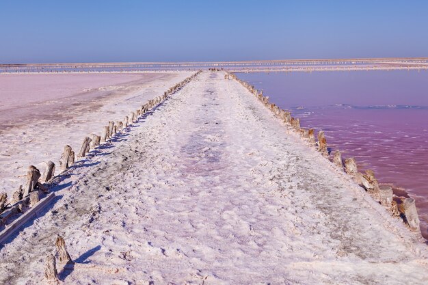 Foto la producción de sivash del lago de sal rosa y la sal y el lodo terapéutico. región de kherson de ucrania.