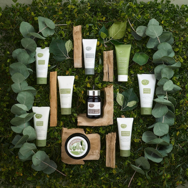 Productos cosméticos para el cuidado de la piel con eucalipto y madera sobre fondo verde