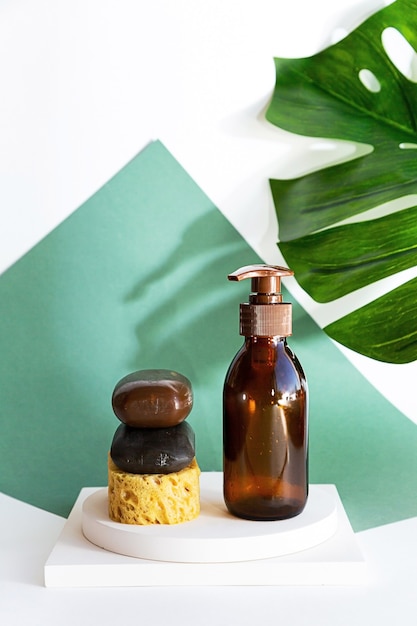 Productos para el cuidado corporal y de hoja de palma Monstera